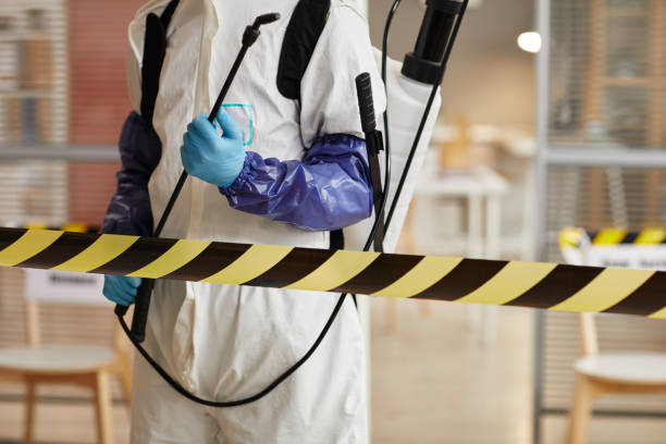 Professional Hoarding Cleanup technician working in Harrison, MI
